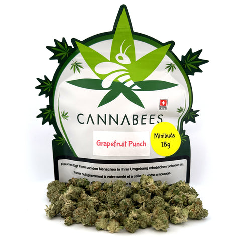 Grapefruit Punch (CBG) Minibuds