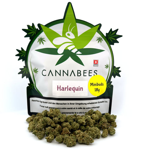Harlequin Minibuds