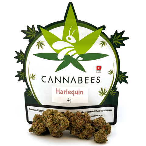 Harlequin