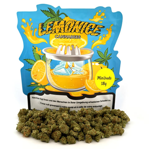 Lemonice Minibuds