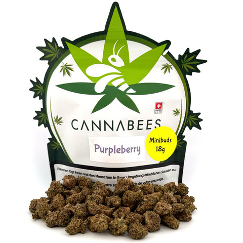 Purpleberry Minibuds