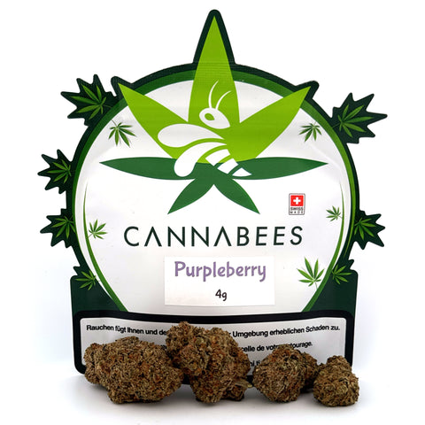 Purpleberry